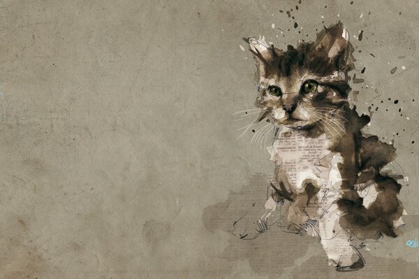 Drawing a photo of a newspaper in the processing of a kitten