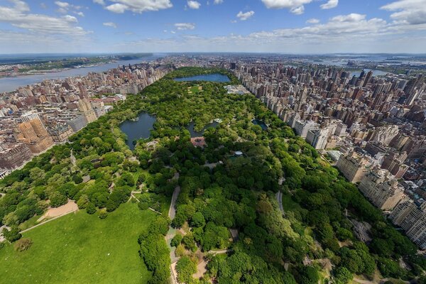 Blick auf New York aus Flugzeughöhe