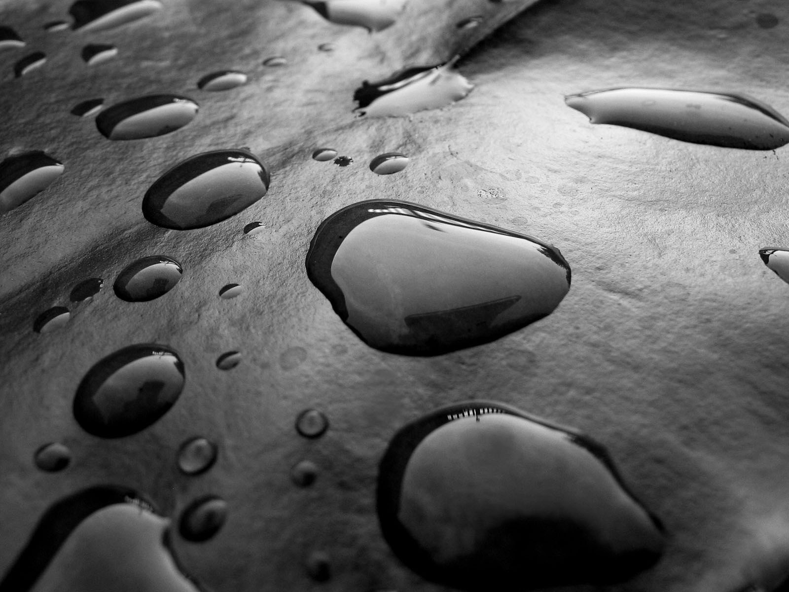 drops sheet black white