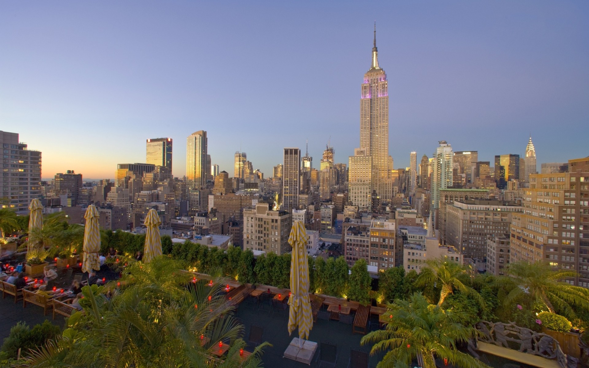 new york bâtiment gratte-ciel palmiers vue de dessus