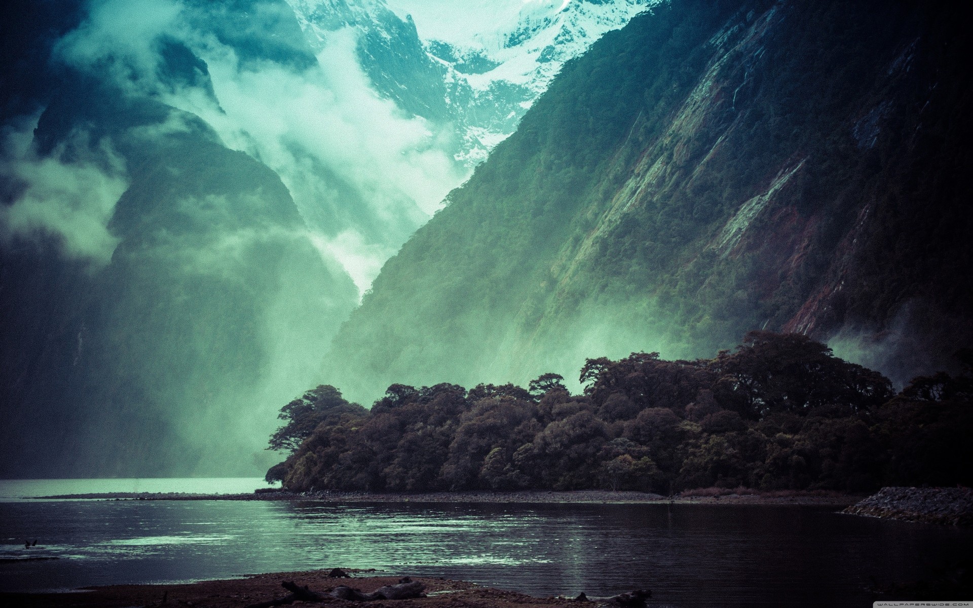 lake new zealand snow palm mountain