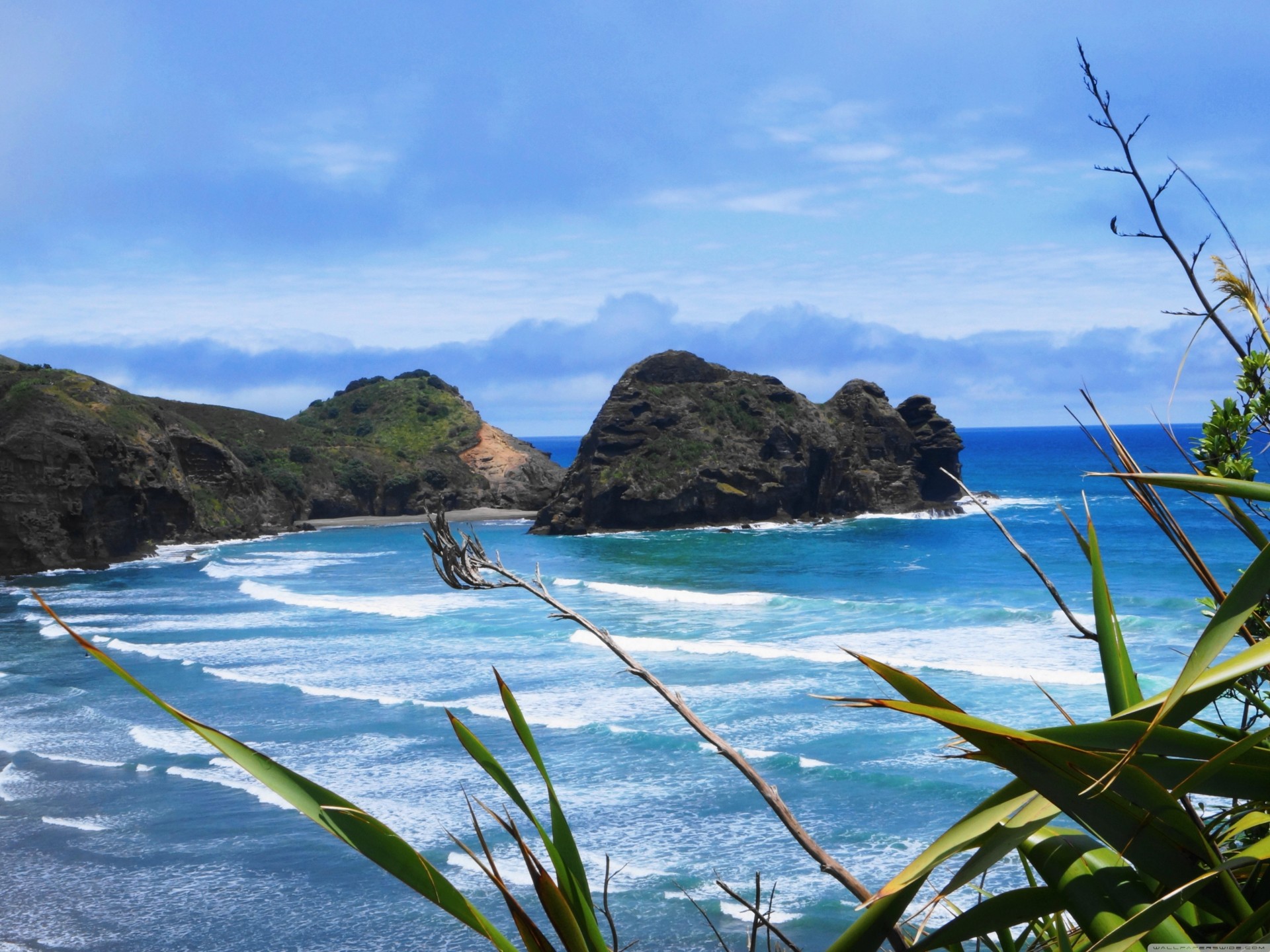 paesaggio bellezza natura spiaggia soleggiato blu sfondo paesaggio oceanscape nuova zelanda