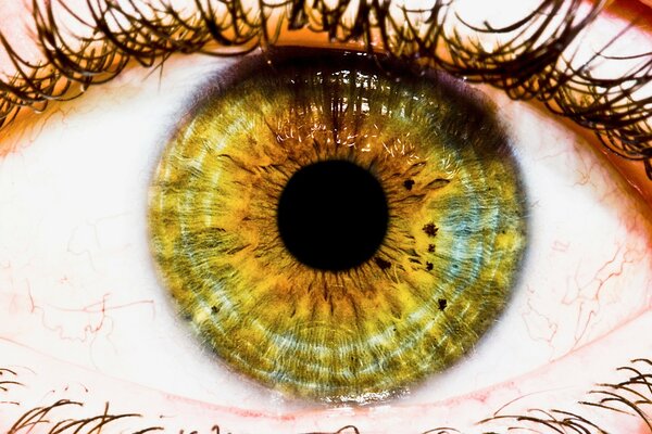 Eye with different colors, macro photography with details