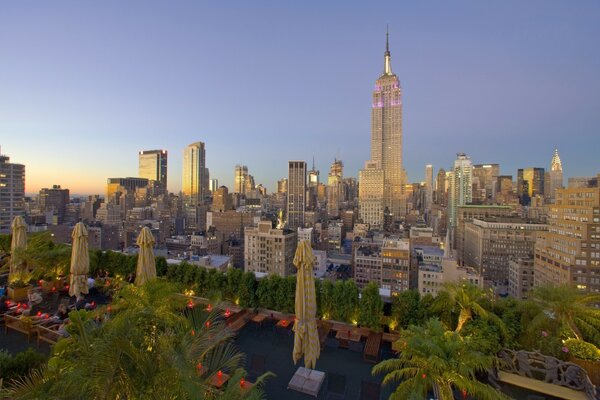Sonnenaufgang in New York. Wolkenkratzer und Palmen. Draufsicht