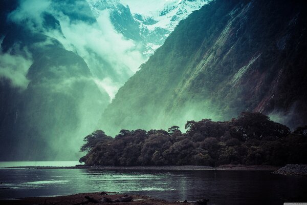 Nature of New Zealand morning