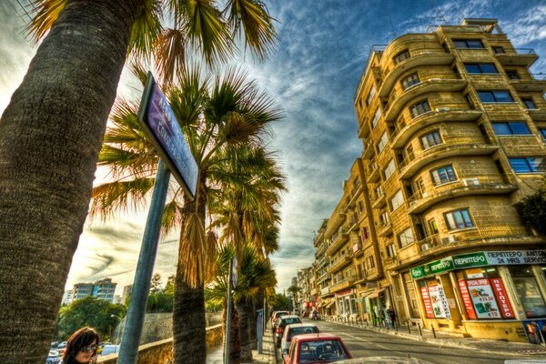 Palm trees on the streets of sunny Greece