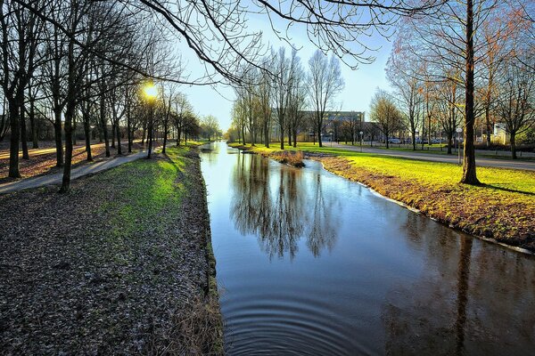 Amsterdam. Water channel. Park. Sunrise