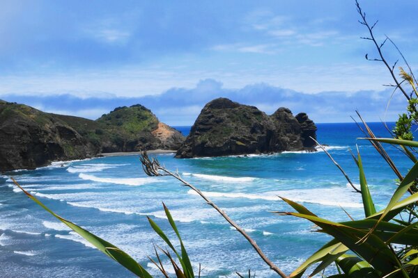 Stylish beach landscape in New Zealand