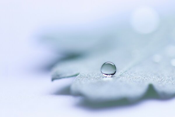 Ein Tropfen Wasser auf einem Blatt in vergrößerter Form