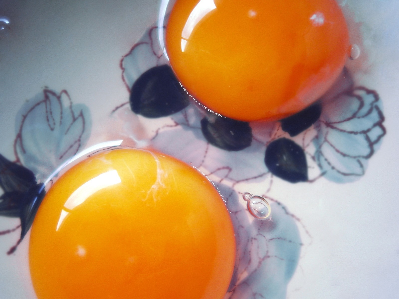 egg yolks pattern