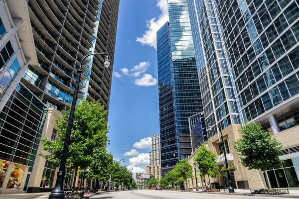 Skyscrapers and a clean bright street