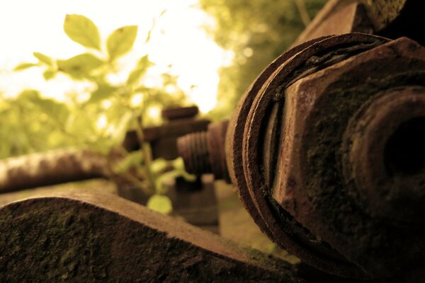 Foto de perno de metal oxidado. Óxido en el metal en algún lugar de la vegetación