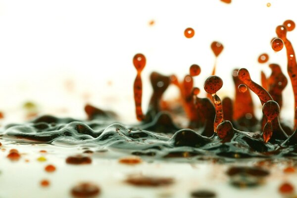 Dance of red drops on a white surface