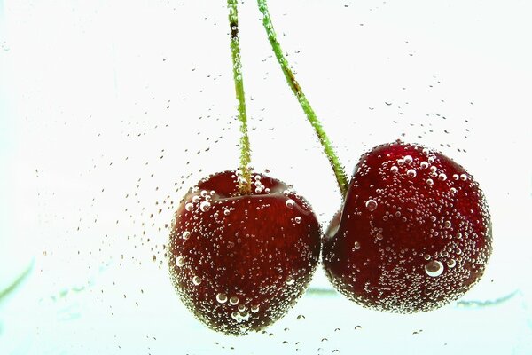 Ripe cherries in water. Bubbling Water near the berries