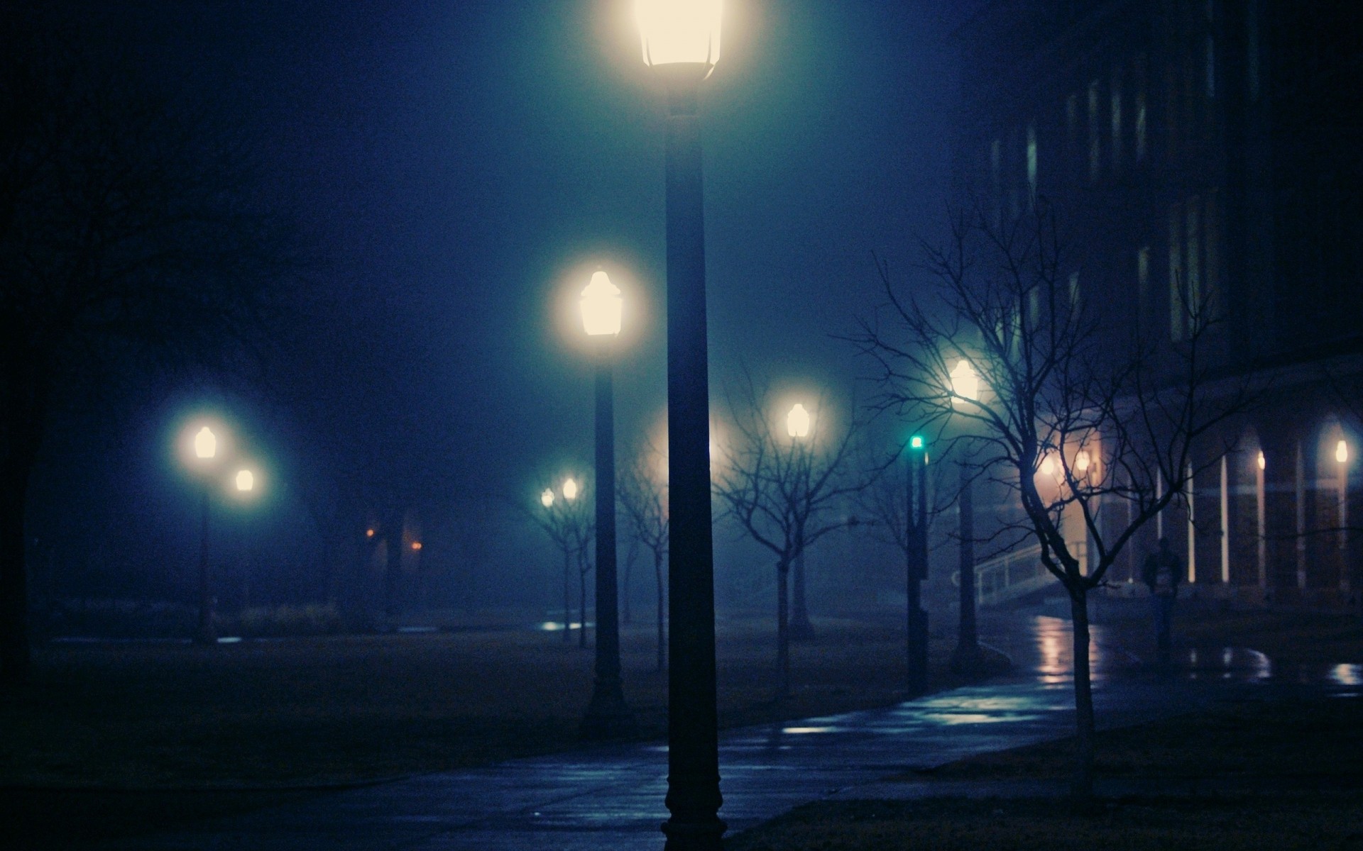 lumières brouillard nuit