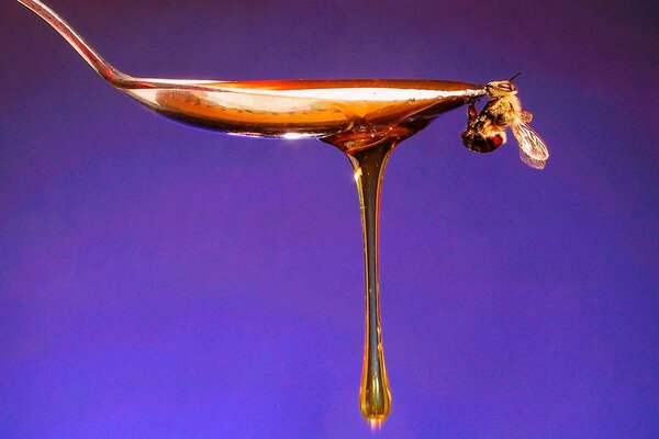 Honey drips from a spoon, on the edge of which a bee is sitting