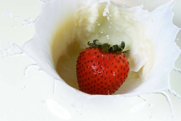 Strawberries fall into milk