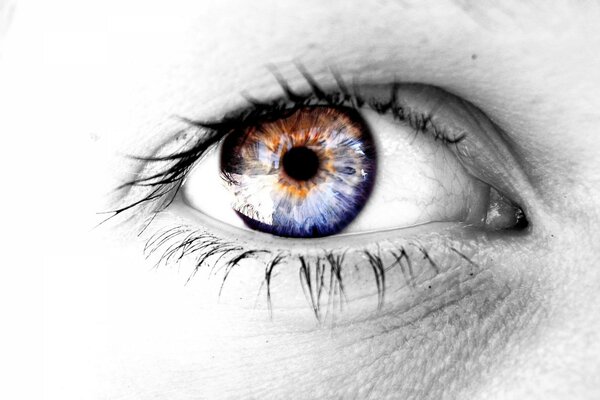 Auge mit unwirklicher Farbe und Wimpern