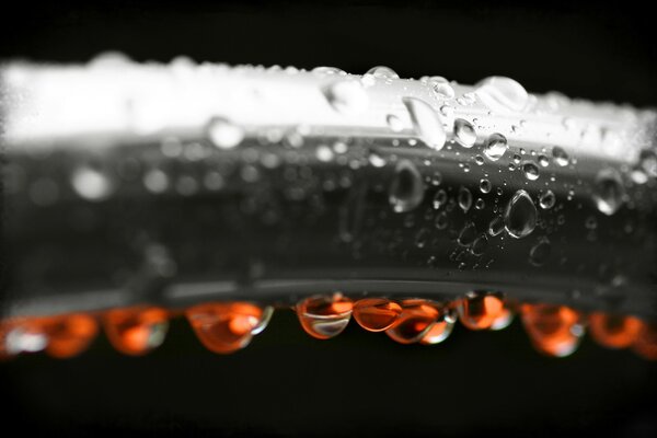 Macro photo of water droplets. Black and white drops in red light