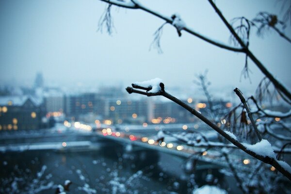 Hiver neige ville brindilles dans la neige