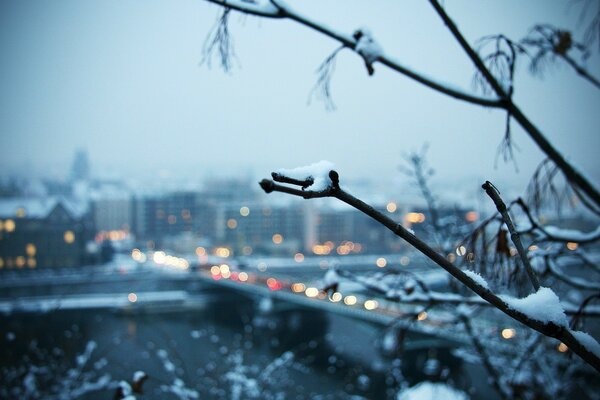 Zimowe śnieżne miasto gałązki w śniegu
