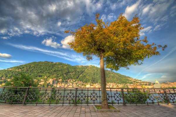 Italia. Lombardía. Paseo marítimo en el lago de como