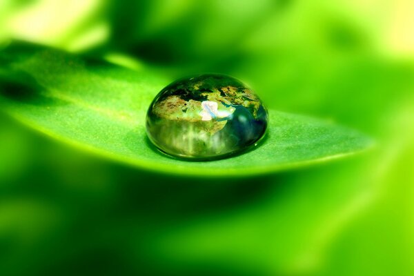 Photo of a drop on a bright leaf