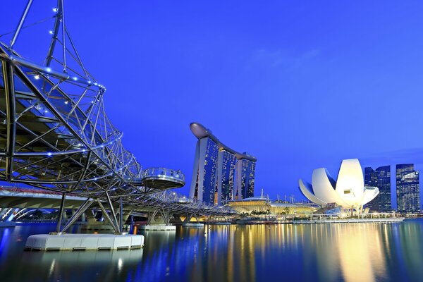 Un puente inusualmente hermoso en Singapur