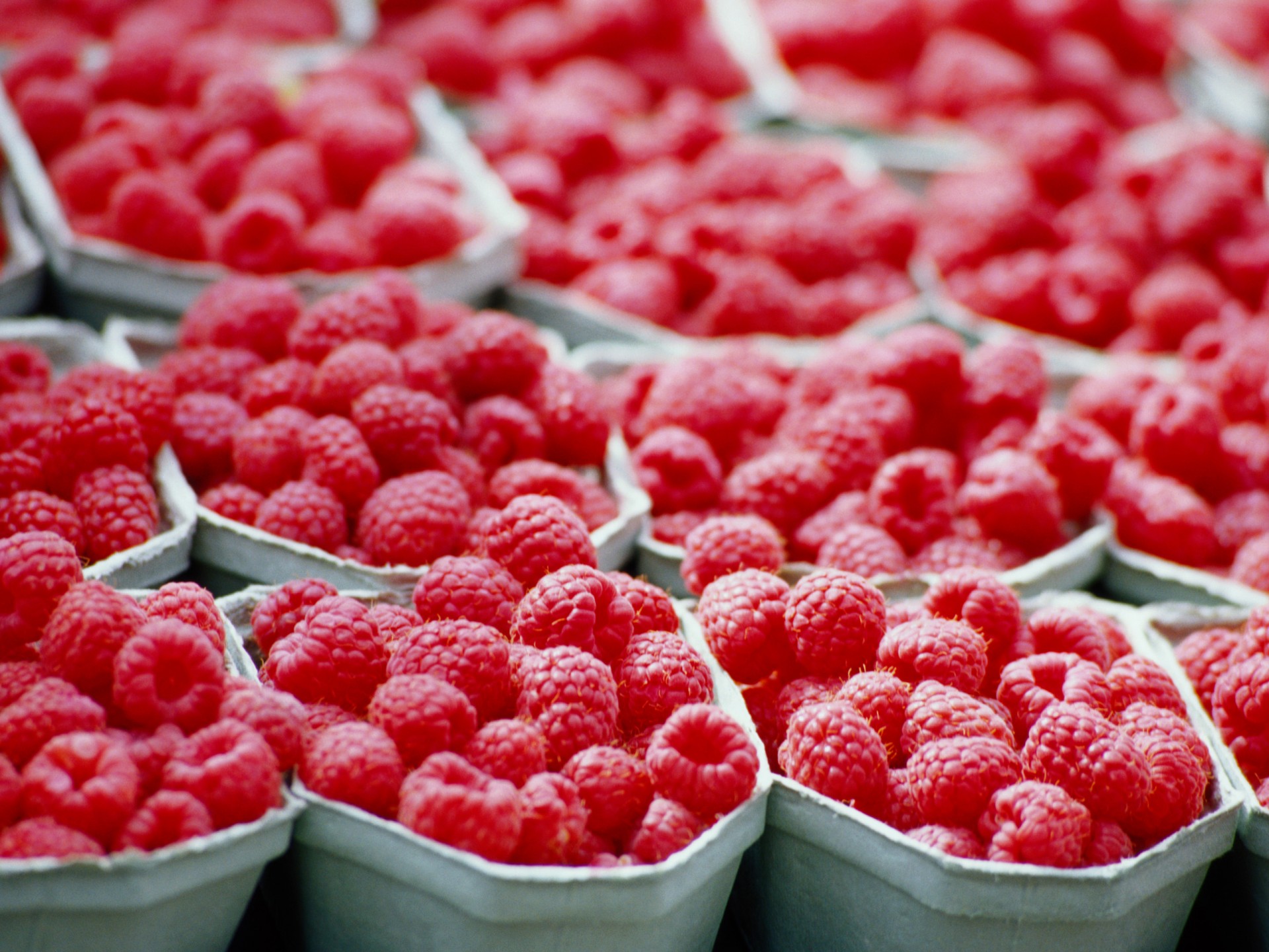 raspberry tray red