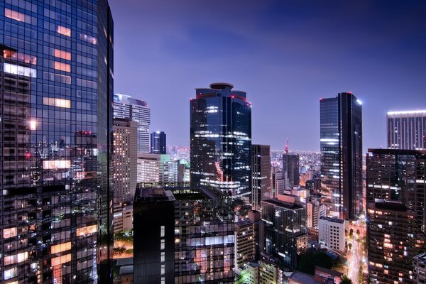 Die Metropole Tokio in Japan bei Nacht