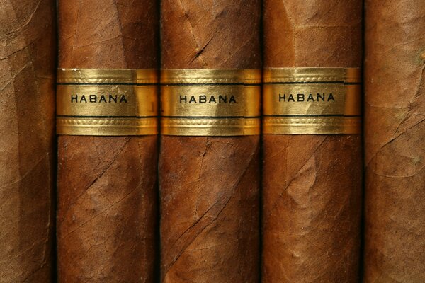 Three brown cigars with inscriptions