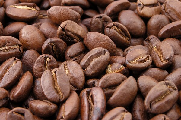 Macro photo of a scattering of coffee beans