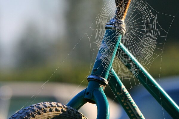 Telarañas en una bicicleta vieja