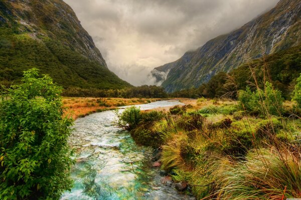 Riche paysage naturel de la Nouvelle-Zélande