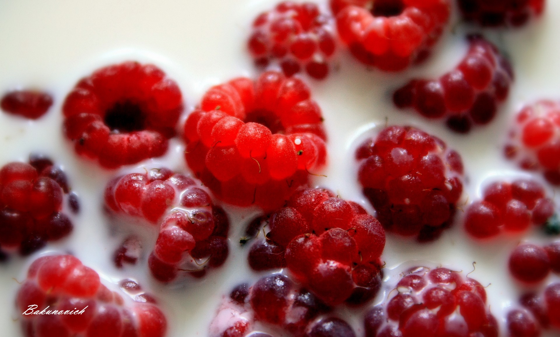 raspberry milk close up