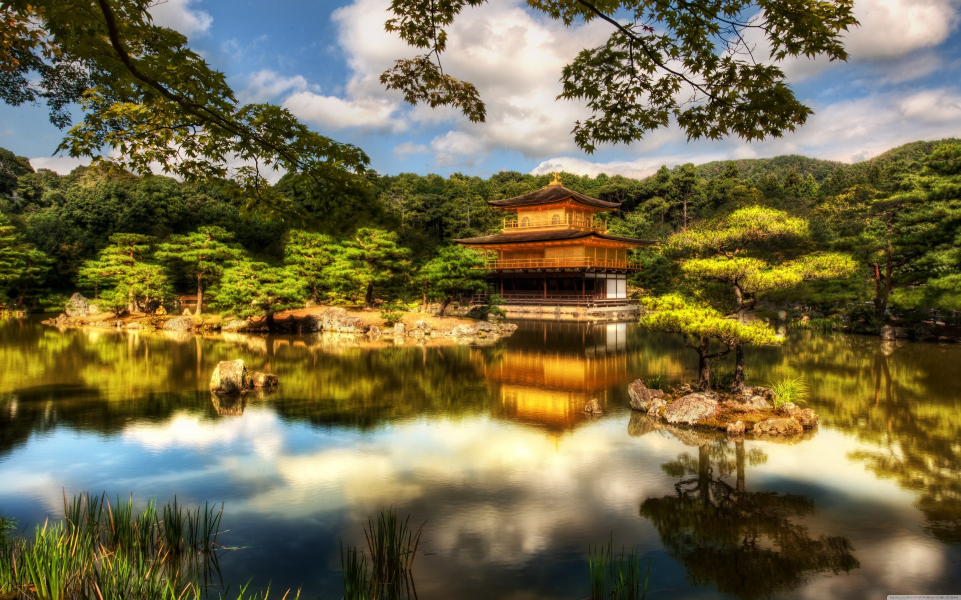 lac or palmiers pavillon kyoto temple jardin japon