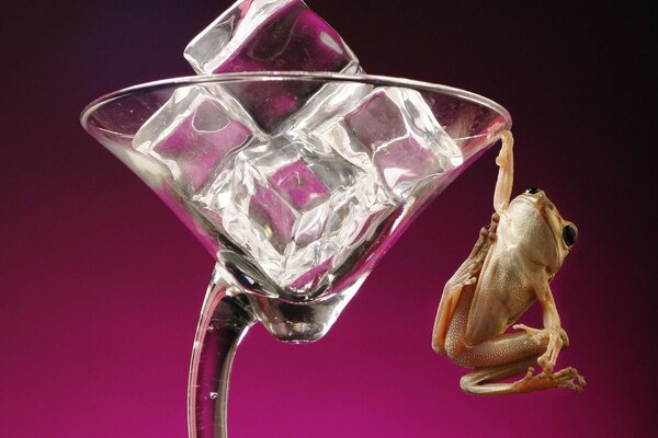 The frog is holding onto a glass of ice