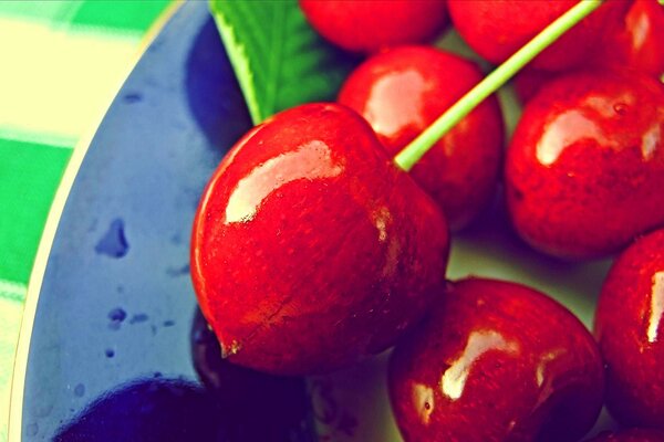 Delicious juicy red cherries