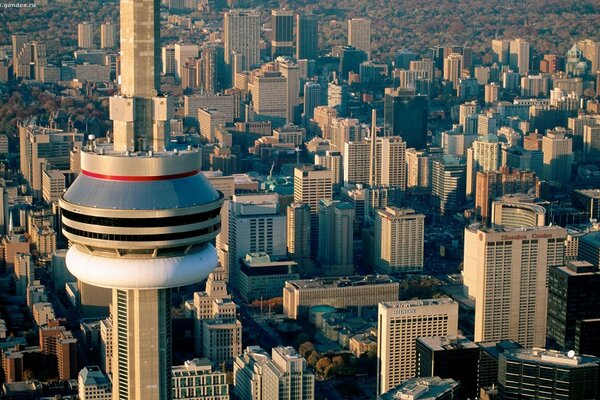 Vue de dessus de la ville de Toronto