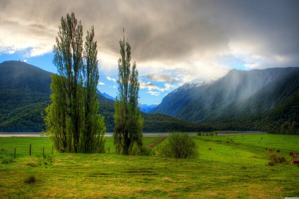 Paysage de montagne enveloppé de nuages