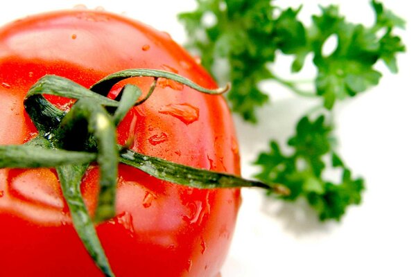 Rote Tomate mit Wassertropfen