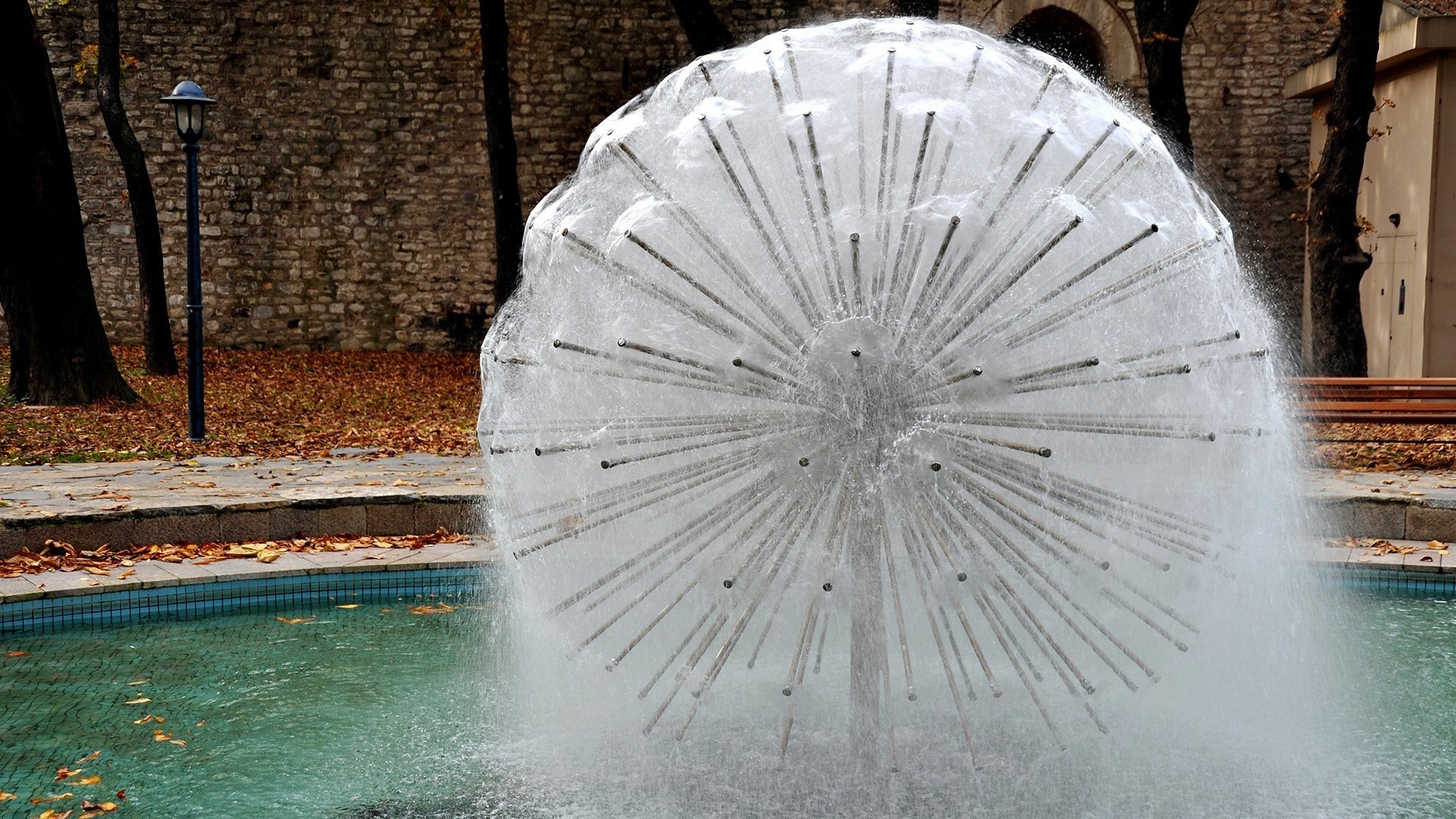 pissenlit fontaine eau gros plan ville