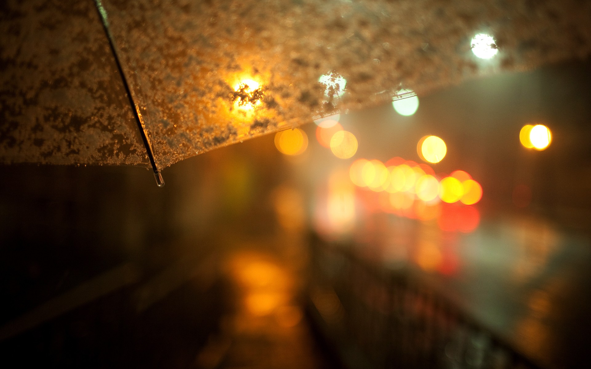 umbrella rain street