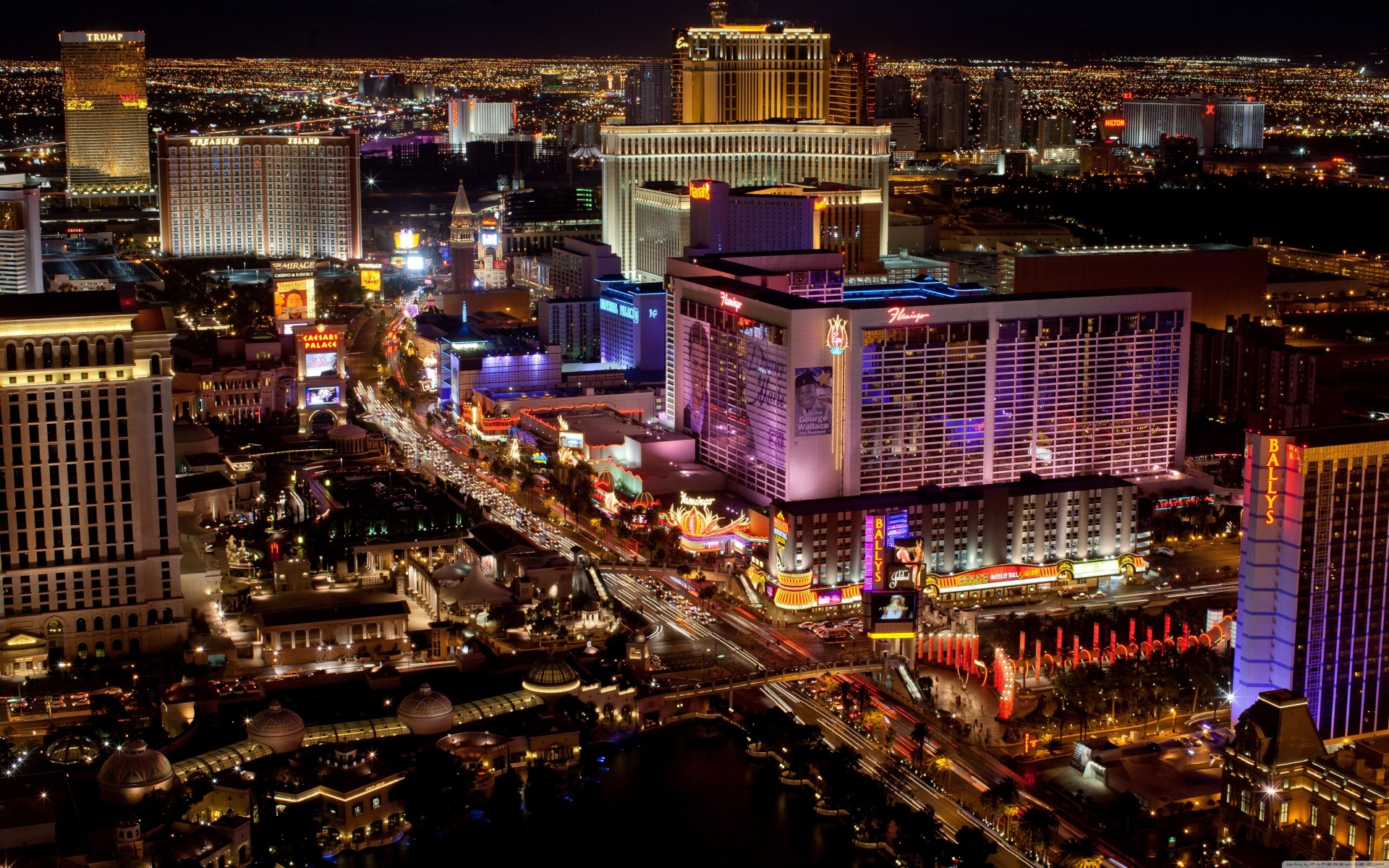 las vegas états-unis flamants roses vegas nevada