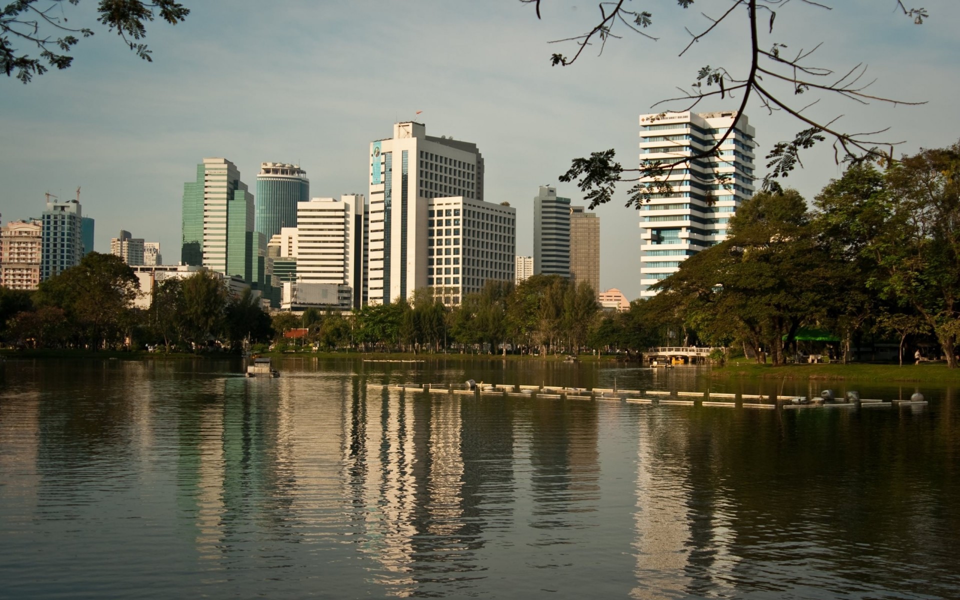 árboles parque tailandia reflexión ciudad