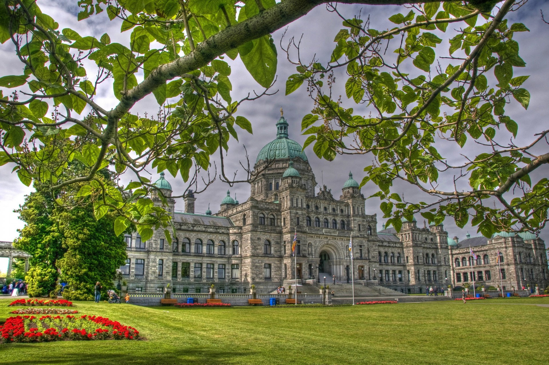 hoja hierba ciudad ramas canadá césped