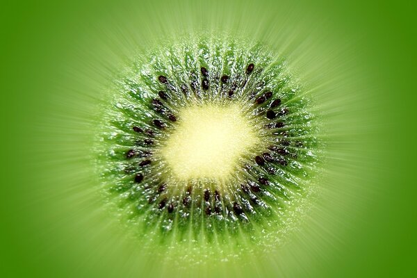 Seeds of kiwi fruit near