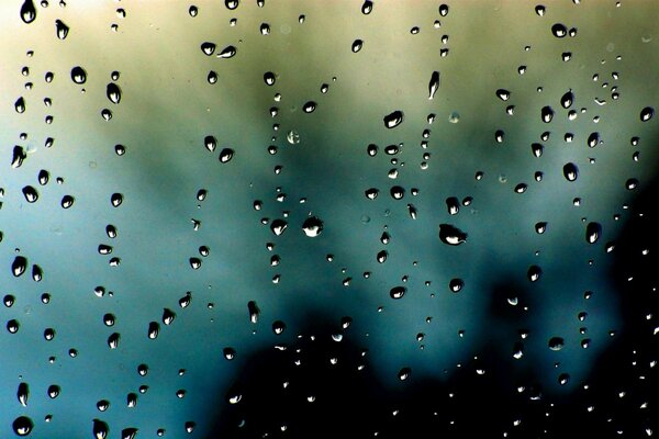 Macro photography of drops on glass. How to take a picture correctly