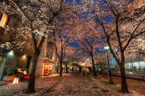 Hermoso callejón en la ciudad de la noche