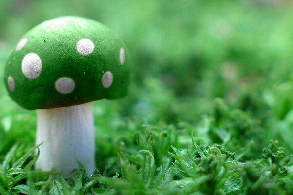 Mushroom fly agaric green in a clearing